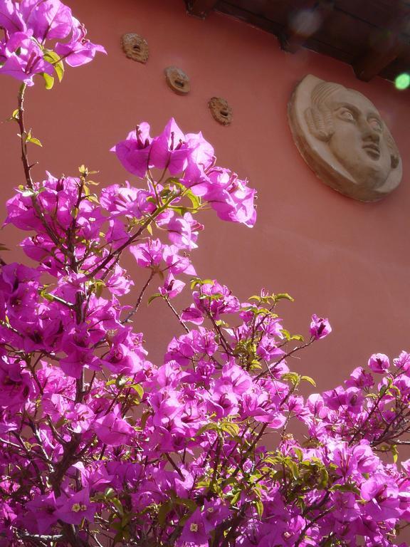 Bed & Breakfast Li Rioni Bed & Breakfast *