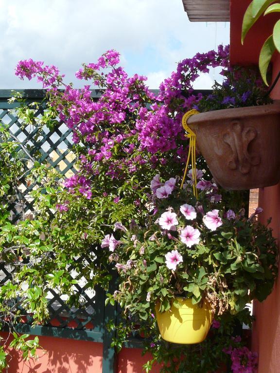 Bed & Breakfast Li Rioni Bed & Breakfast Rome